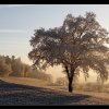 20071229_028